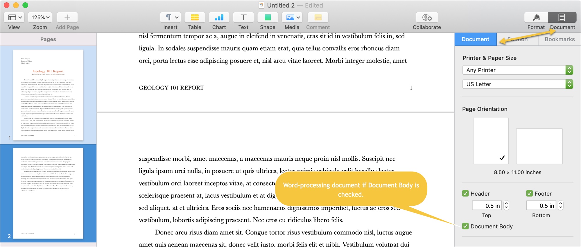 delete blank pages word for mac